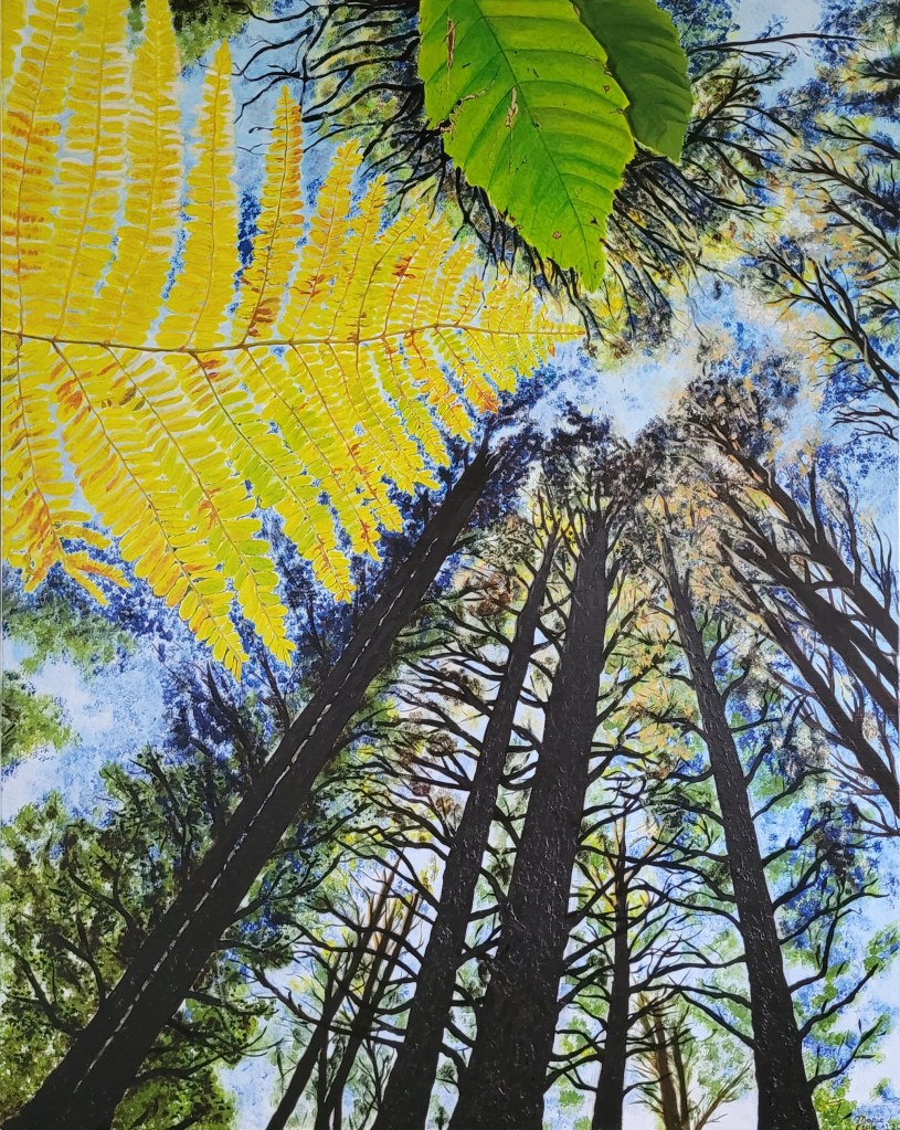 Les balades dans les bois me sont nécessaires. J'ai besoin de ressentir l'ambiance feutrée et fraîches du sous-bois, de respirer ses odeurs musquées et de voir la lumière filtrer à travers le branchages. Pour moi, marcher en forêt, c'est observer et découvrir. Je m'allonge sur la douce mousse, j'observe la canopée et mon esprit s'envole sur le toit de la forêt