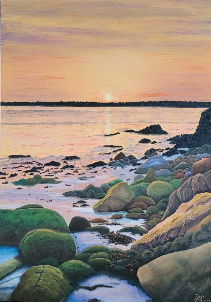 S'asseoir face à l'Océan ! Suivre le soleil qui, à chaque instant, colore le ciel de mille nuances. Observer l'eau qui, comme un miroir scintillant, s'amuse à agiter ces teintes chatoyantes. Voir les rochers se couvrir de poudre d'or et les mares résiduelles passer du brun, au bleu et au violet. Et se dire que ce spectacle s'offre à nous depuis la nuit des temps.