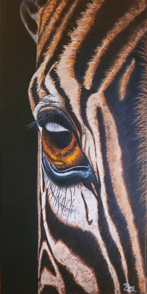 Quoi de plus surprenant que les rayures du zèbre ? Mais faut-il s’arrêter à cette fantastique bizarrerie de la nature ? Allons voir de plus près ! Dans son œil par exemple ! Que penses-tu de ta parure, zèbre ?