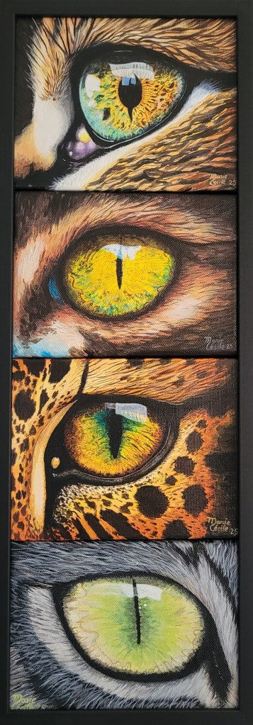 Les félins me passionnent ! La souplesse et la rapidité de leurs déplacements, leur infinie patience à l’affût de leurs proies, leur puissance mais aussi leur placidité. Toutes ces qualités semblent se lire dans la profondeur de leurs yeux !